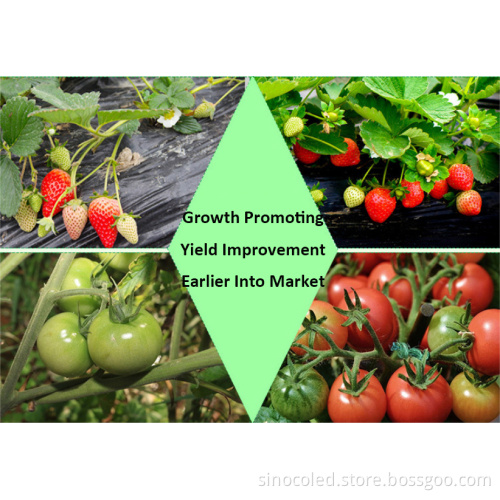 LED Grow Light Design for Hydroponic Container Germination
